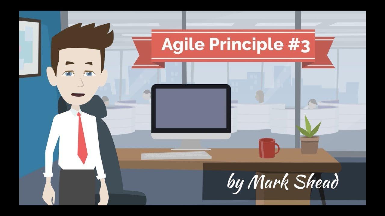 Agile Principle #3 - Agile Cartoon Premier